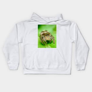 Jumping Spider on a Green Leaf. Macro Photography Kids Hoodie